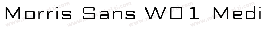 Morris Sans W01 Medi字体转换